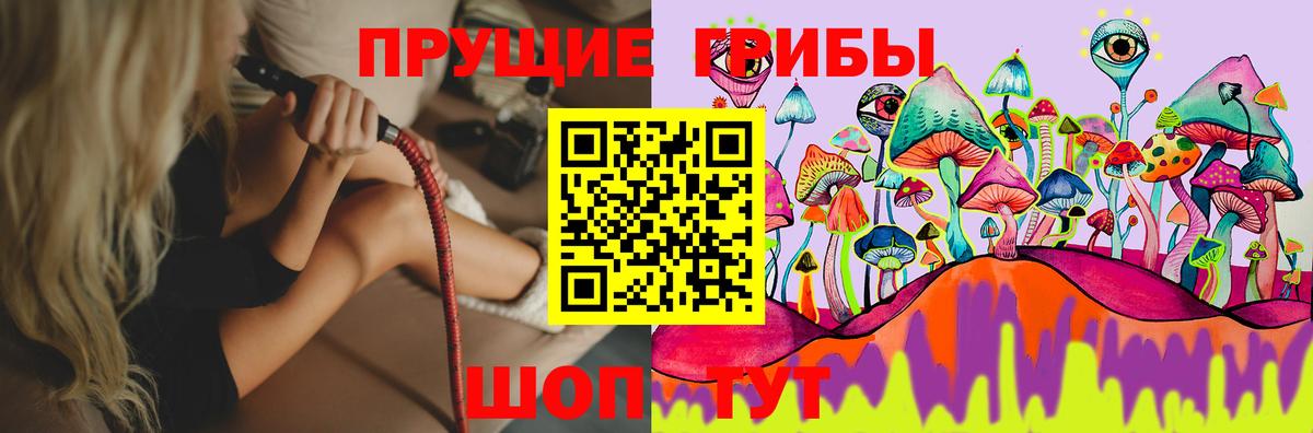 Псилоцибиновые грибы MAGIC MUSHROOMS  Вход с VPN  Морозовск 